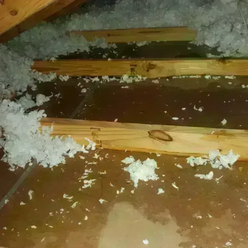 Attic Water Damage in Auburn, IN