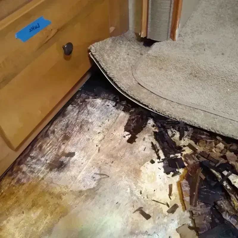 Wood Floor Water Damage in Auburn, IN